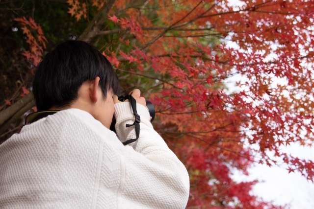 男子中学生イメージ画像